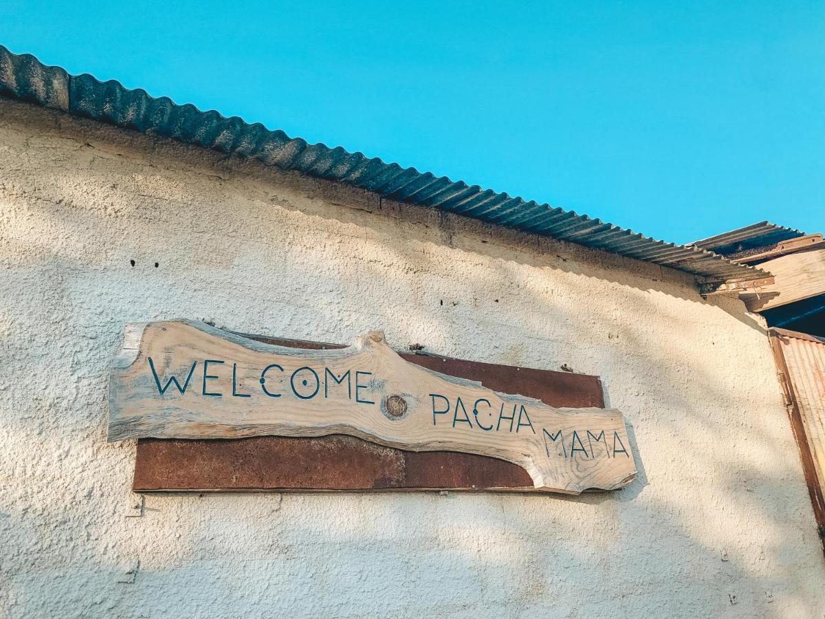 Visit Pachamama Community Daire Alcácer do Sal Dış mekan fotoğraf